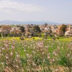 3ο Ετήσιο Φεστιβάλ Παλαιομετόχου «Χορός του Πουρεκιού»