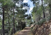 Σε ορεινή περιοχή στα όρια της Δυτικής Λευκωσίας η μεγαλύτερη μέση βροχόπτωση